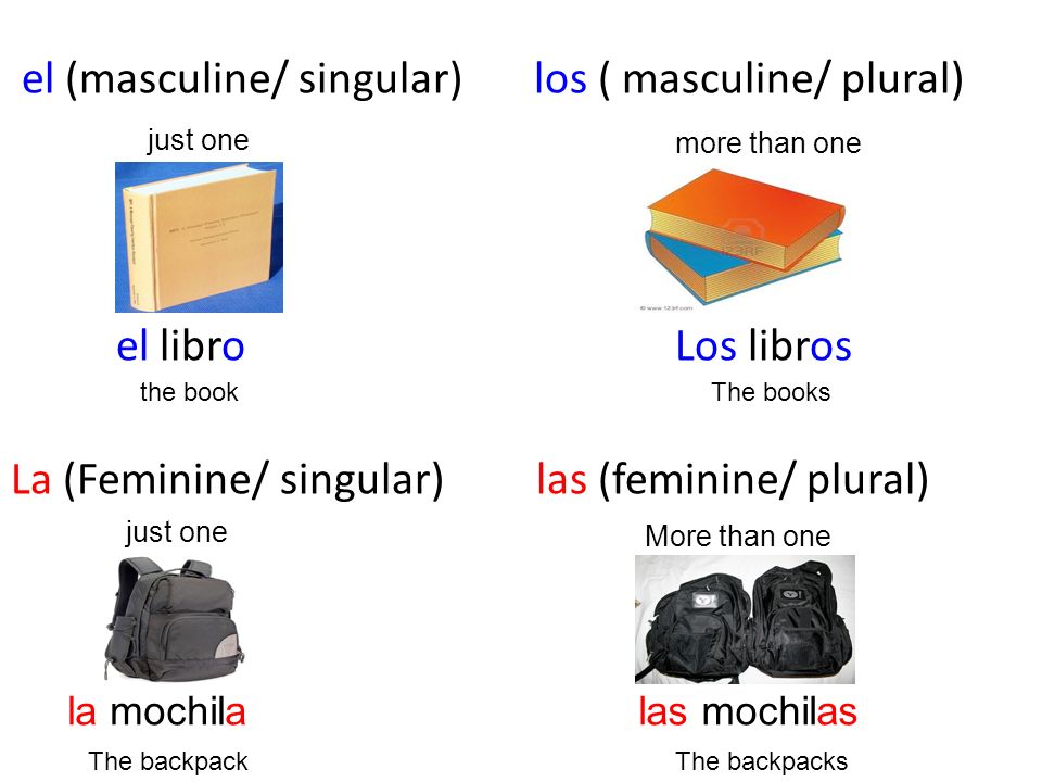 el (masculine/ singular) los ( masculine/ plural) el libro Los libros La (Feminine/ singular) las (feminine/ plural)