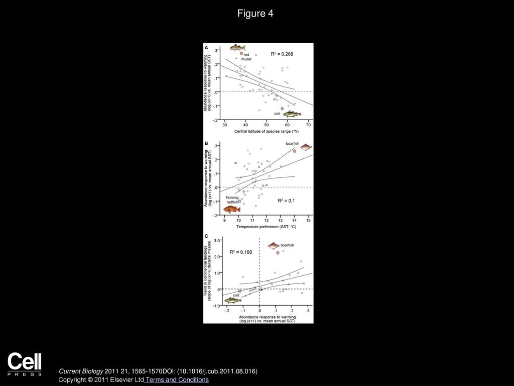 Figure 4 Species Responses to Warming and Impact on Fisheries