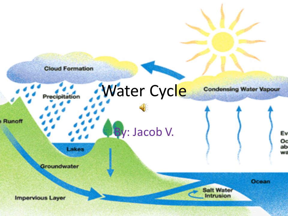 Water Cycle By: Jacob V.