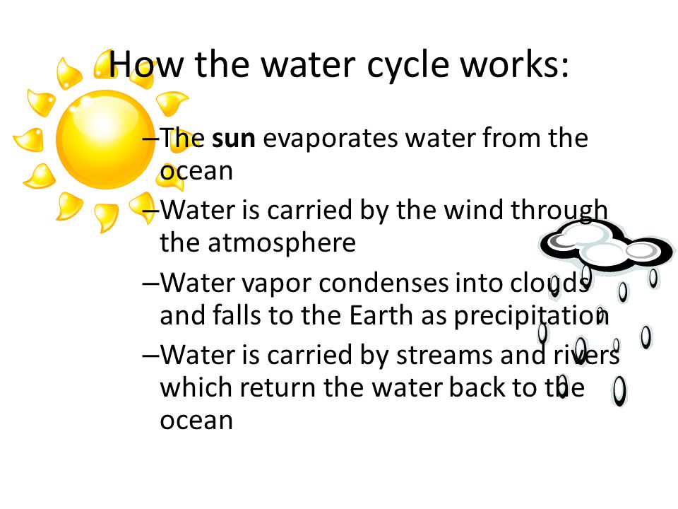 How the water cycle works: