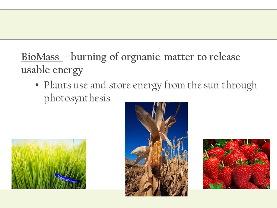 BioMass – burning of orgnanic matter to release usable energy