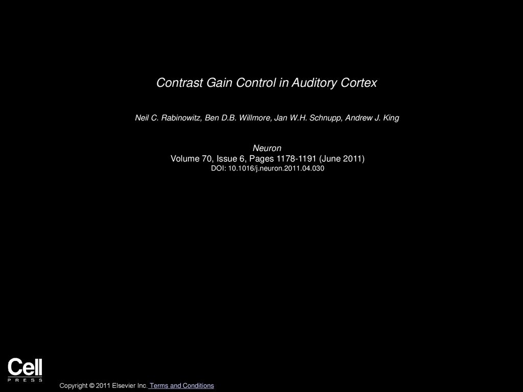Contrast Gain Control in Auditory Cortex