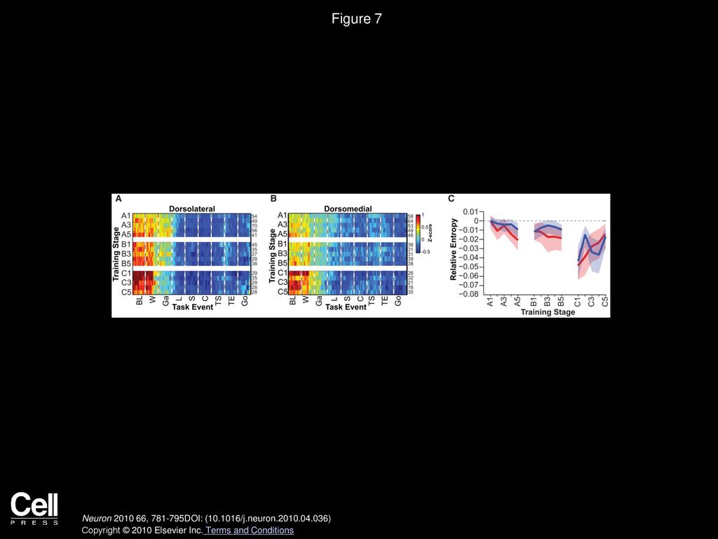 Figure 7 The Activity of Non-Task-Responsive Striatal Ensembles Is Also Modulated during Training.