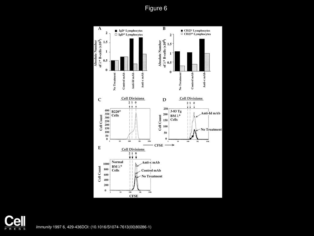 Figure 6 B Cell Maturation Stage and CFSE Analysis of Cell Division of λ+ Cells in Treated and Control Cultures.