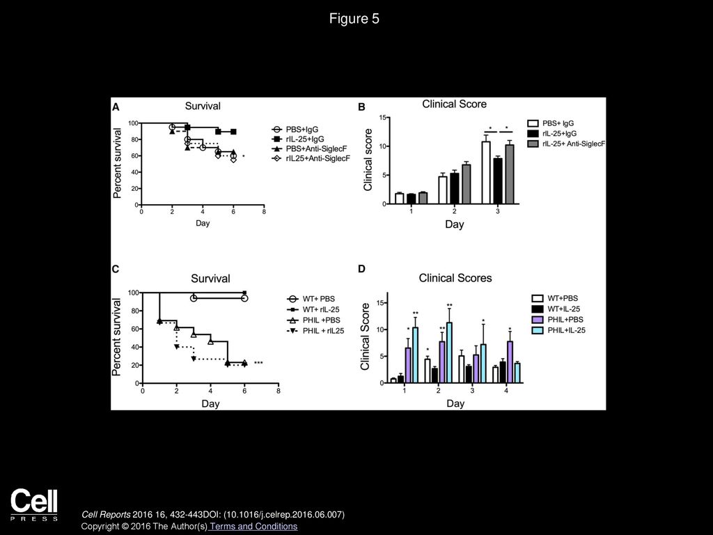 Figure 5 IL-25 Protected from CDI through an Eosinophil-Dependent Mechanism.