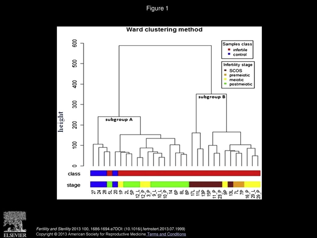 Figure 1 Hierarchical clustering dendrogram of all samples analyzed according to gene expression profile.