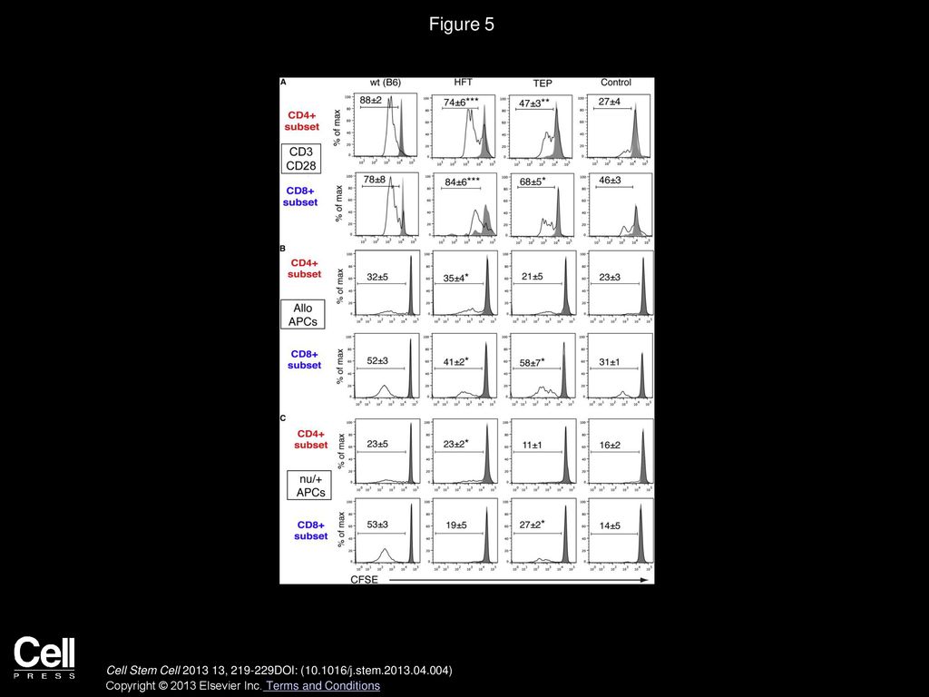 Figure 5 T Cells Generated in TEP-Recipient Nude Mice Respond To TCR and Allogeneic Stimulation In Vitro.