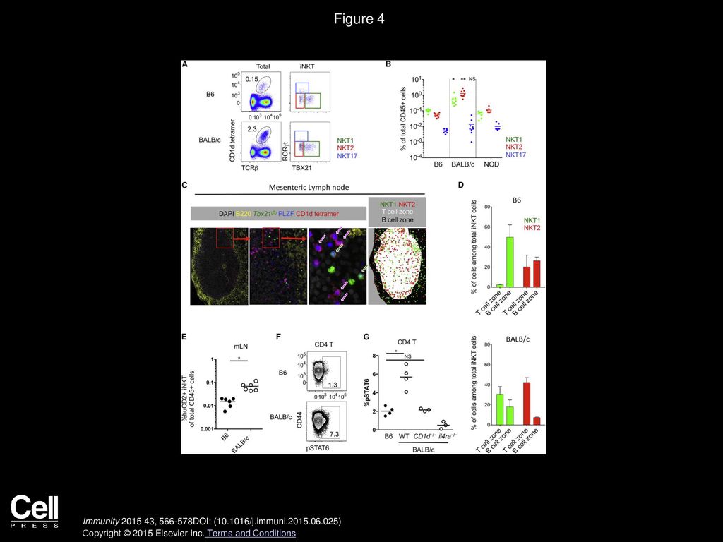 Figure 4 NKT2 Cells in BALB/c mLN Produce IL-4 and Condition Lymphocytes at Steady State.