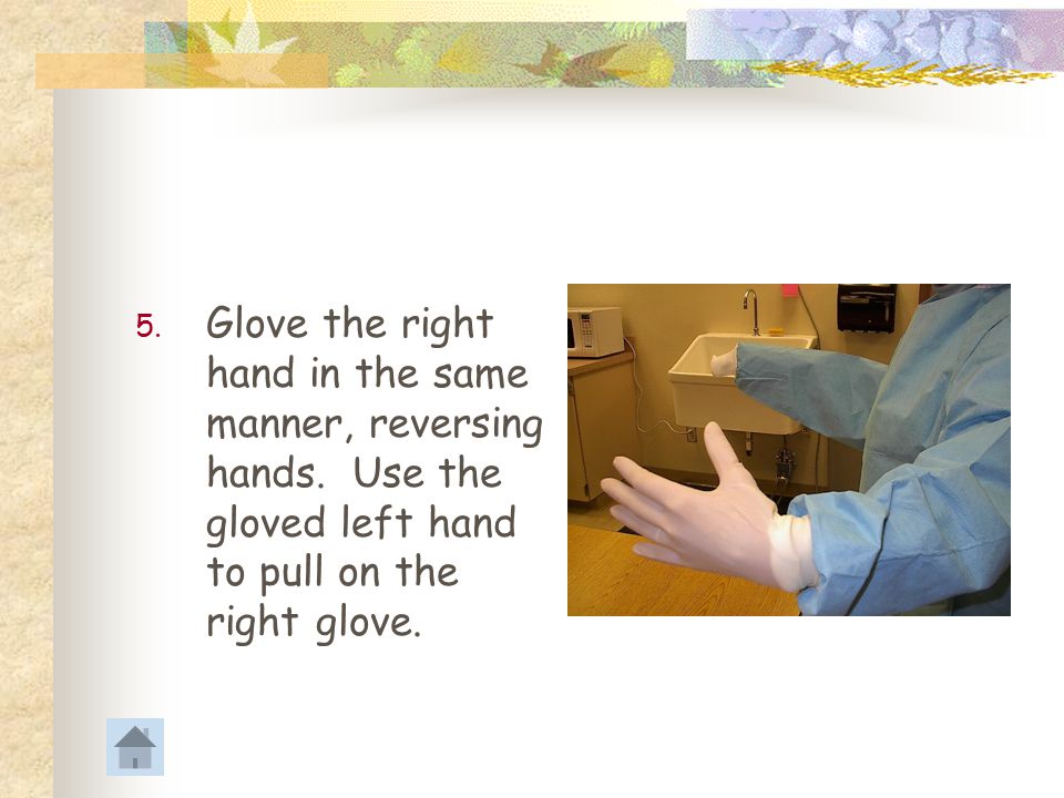 Glove the right hand in the same manner, reversing hands