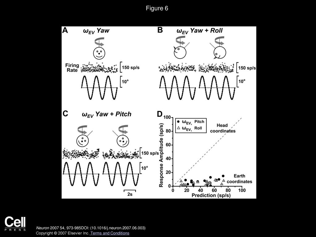 Figure 6 Canal-Driven Responses of Purkinje Cells Encode Rotation in an Earth-Centered Reference Frame.