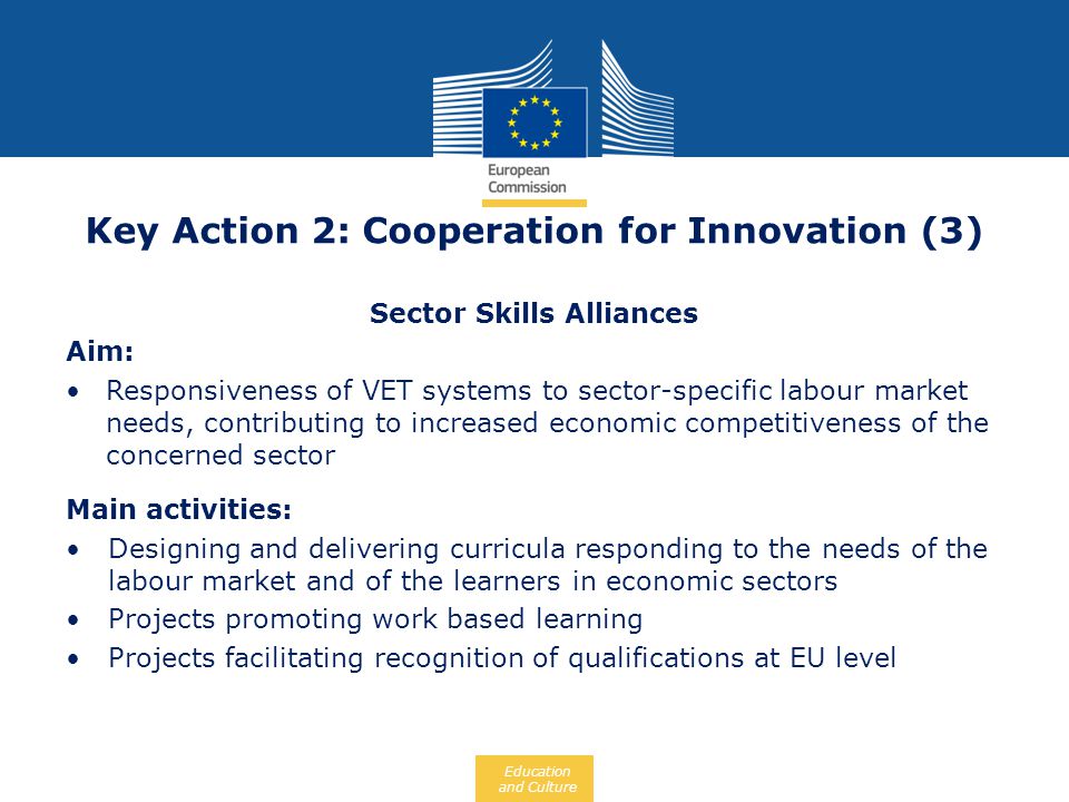 Key Action 2: Cooperation for Innovation (3) Sector Skills Alliances