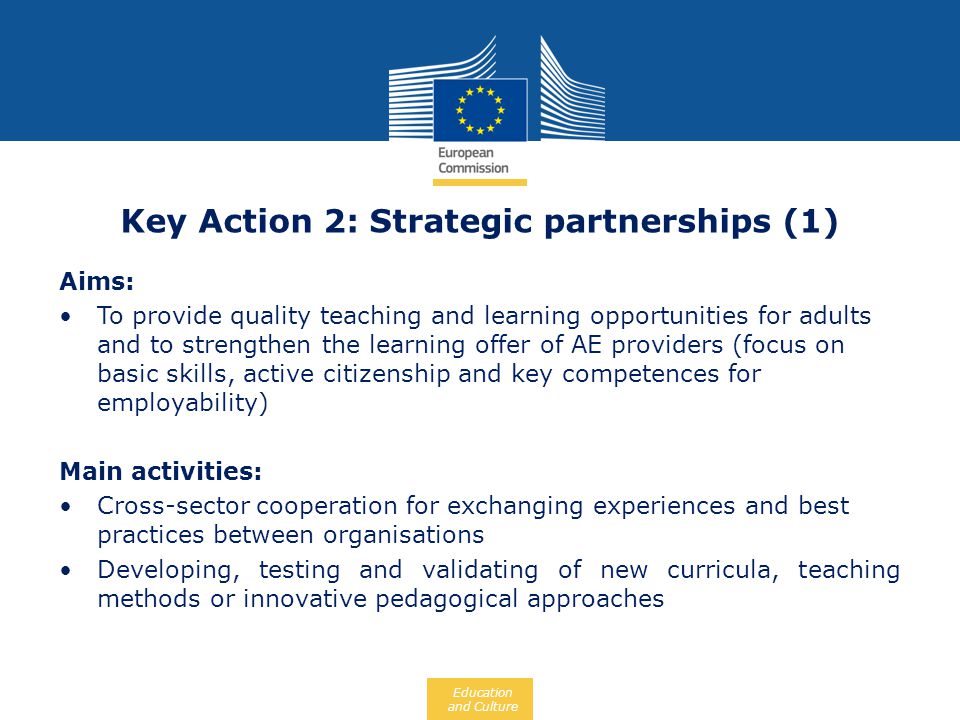 Key Action 2: Strategic partnerships (1)