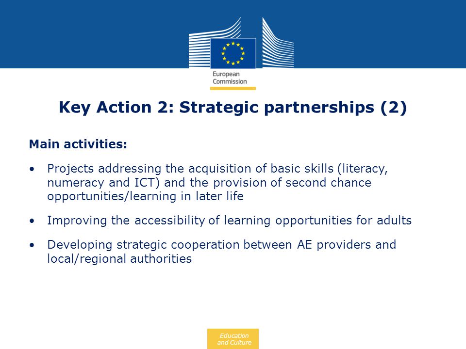 Key Action 2: Strategic partnerships (2)