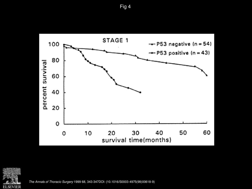 Fig 4 Survival curves of P53-positive and P53-negative stage 1 NSCLC patients after operation (p < ).