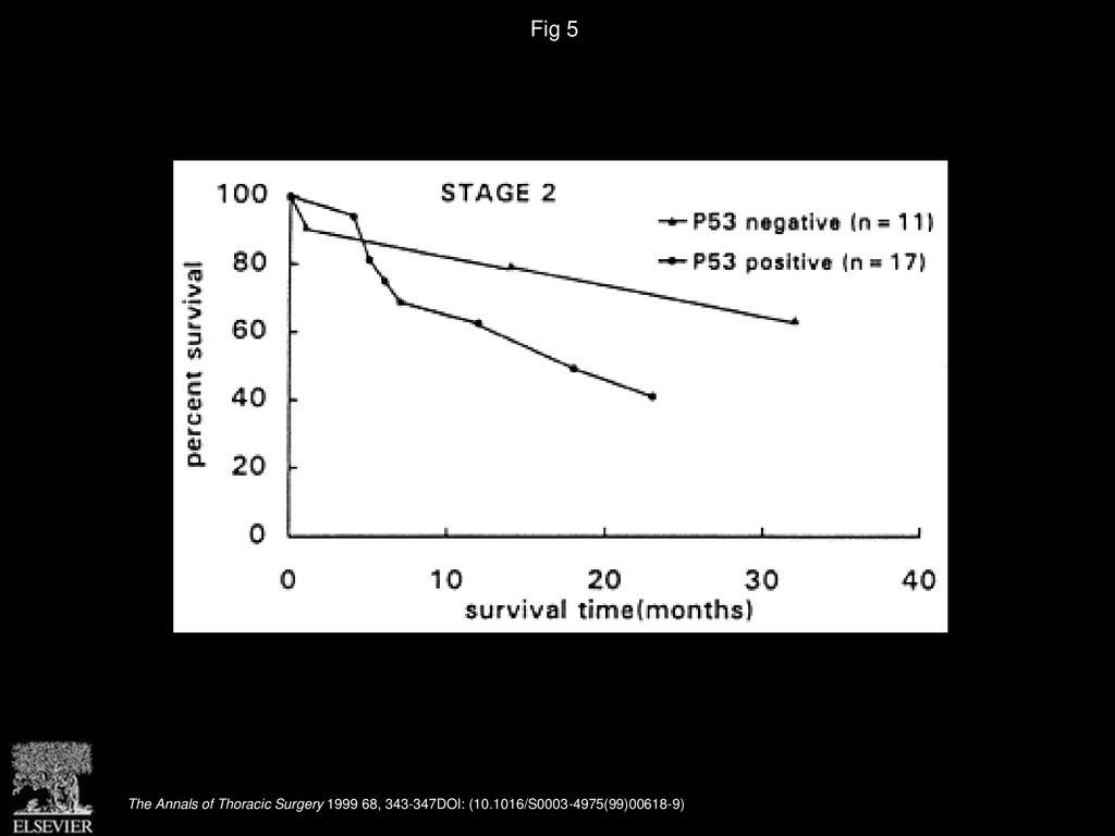 Fig 5 Survival curves of P53-positive and P53-negative stage 2 NSCLC patients after operation (p = 0.13).