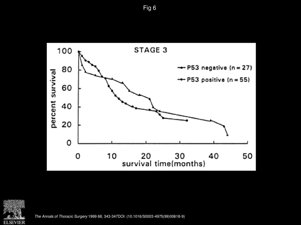 Fig 6 Survival curves of P53-positive and P53-negative stage 3 NSCLC patients after operation (p = 0.44).