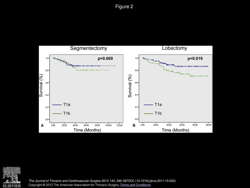 Figure 2 Recurrence-free survival for T1a and T1b tumors stratified by segmentectomy (A) and lobectomy (B).