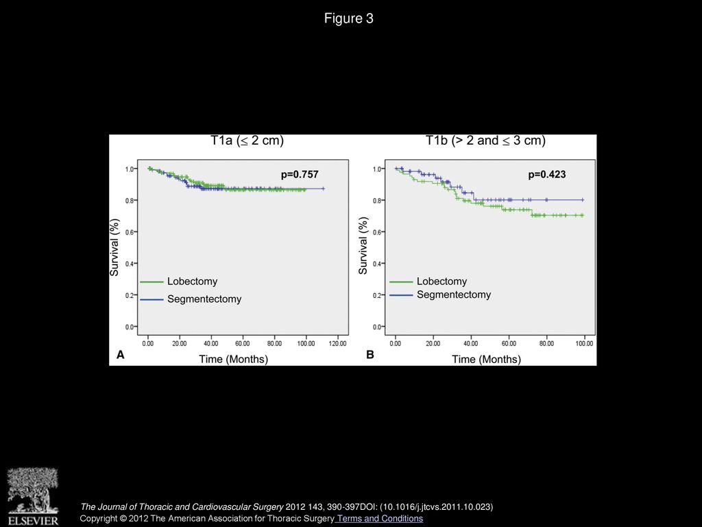 Figure 3 Recurrence-free survival curves comparing outcomes after segmentectomy or lobectomy for T1a (A) and T1b (B) tumors.
