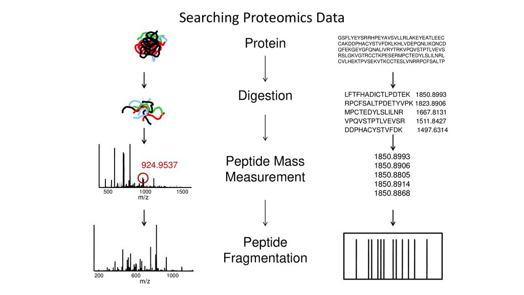 Searching Proteomics Data