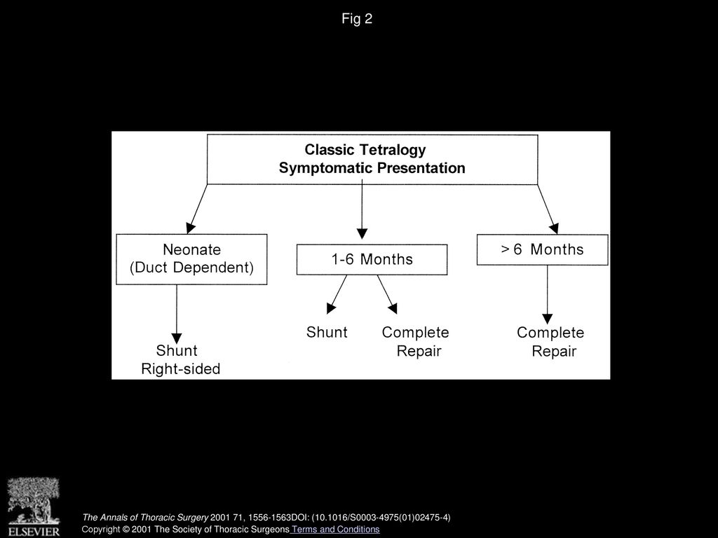 Fig 2 Surgical management strategy for patients with symptomatic tetralogy of Fallot.