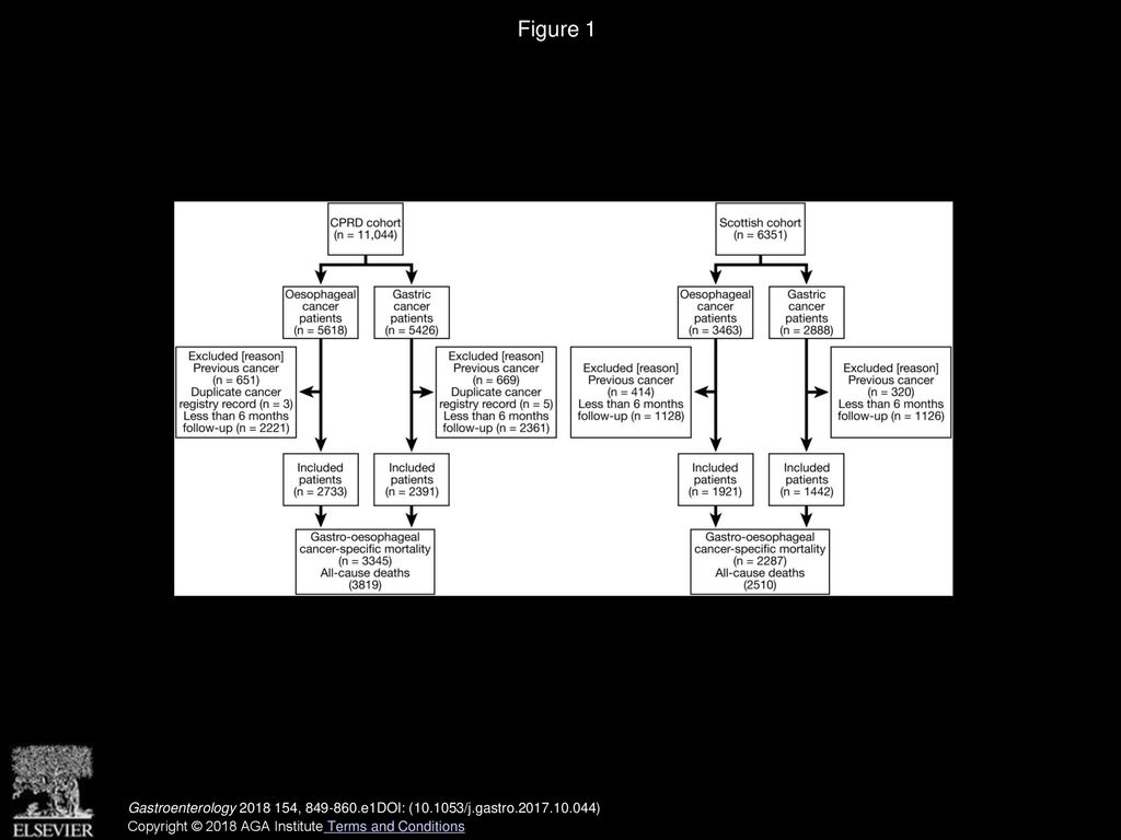 Figure 1 Study flow diagram for the England and Scotland datasets showing the eligibility process for patients with oesophageal or gastric cancer.