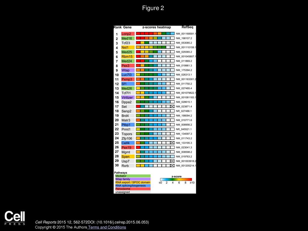 Figure 2 Top-Ranked Candidates from the Nucleome Screen