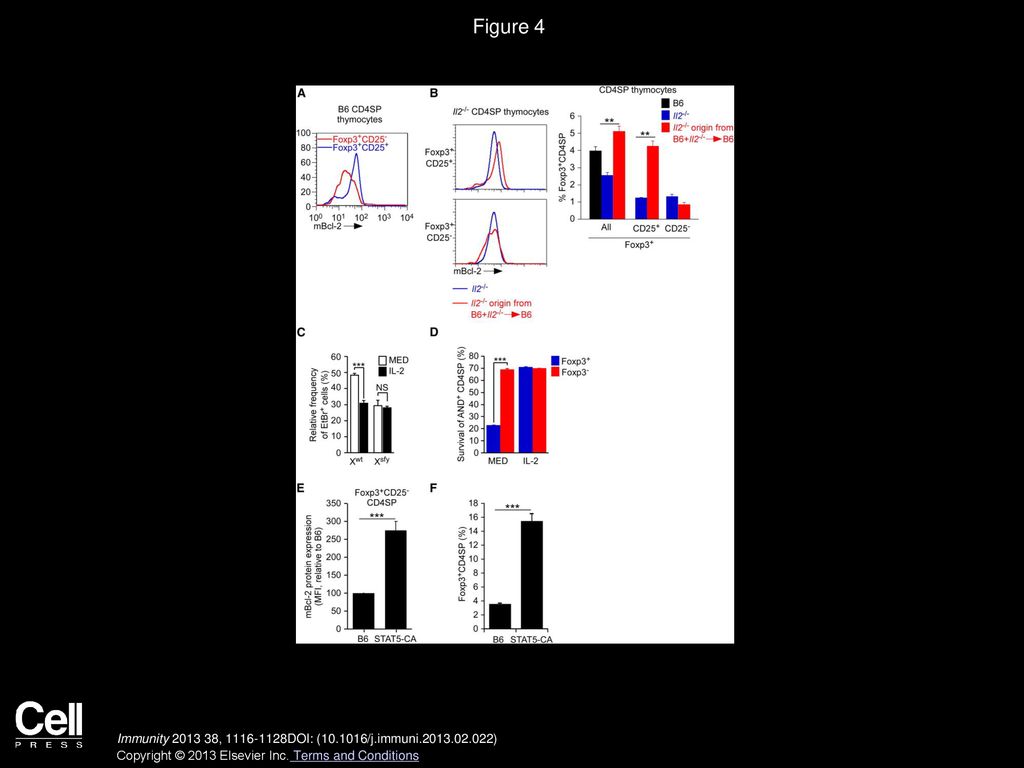 Figure 4 Effect of IL-2 on Bcl-2 Expression and Survival of Thymic Treg Cells.