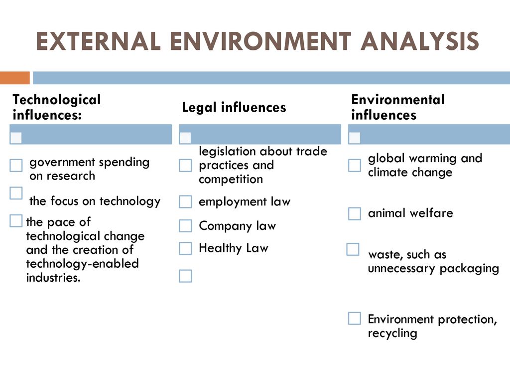 EXTERNAL ENVIRONMENT ANALYSIS