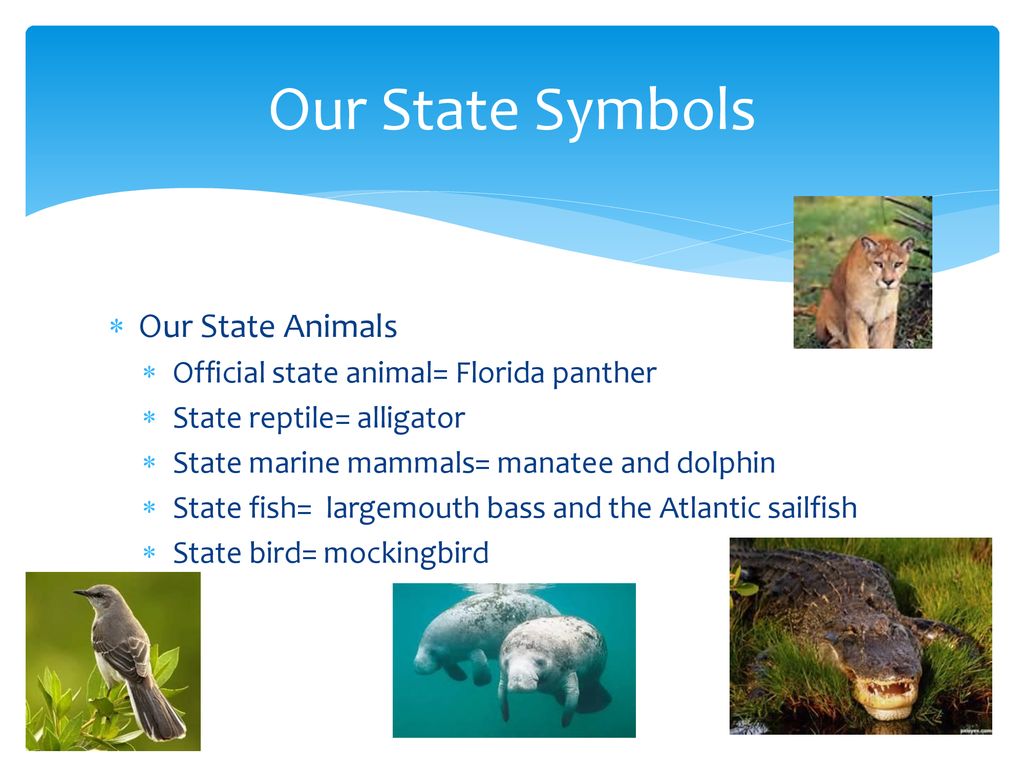 Social Studies Weekly #1 - ppt download Social Studies Weekly #1 - ppt download