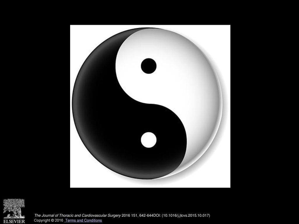 Image of a mentee and mentor relationship, just like yin and yang, a good fit.