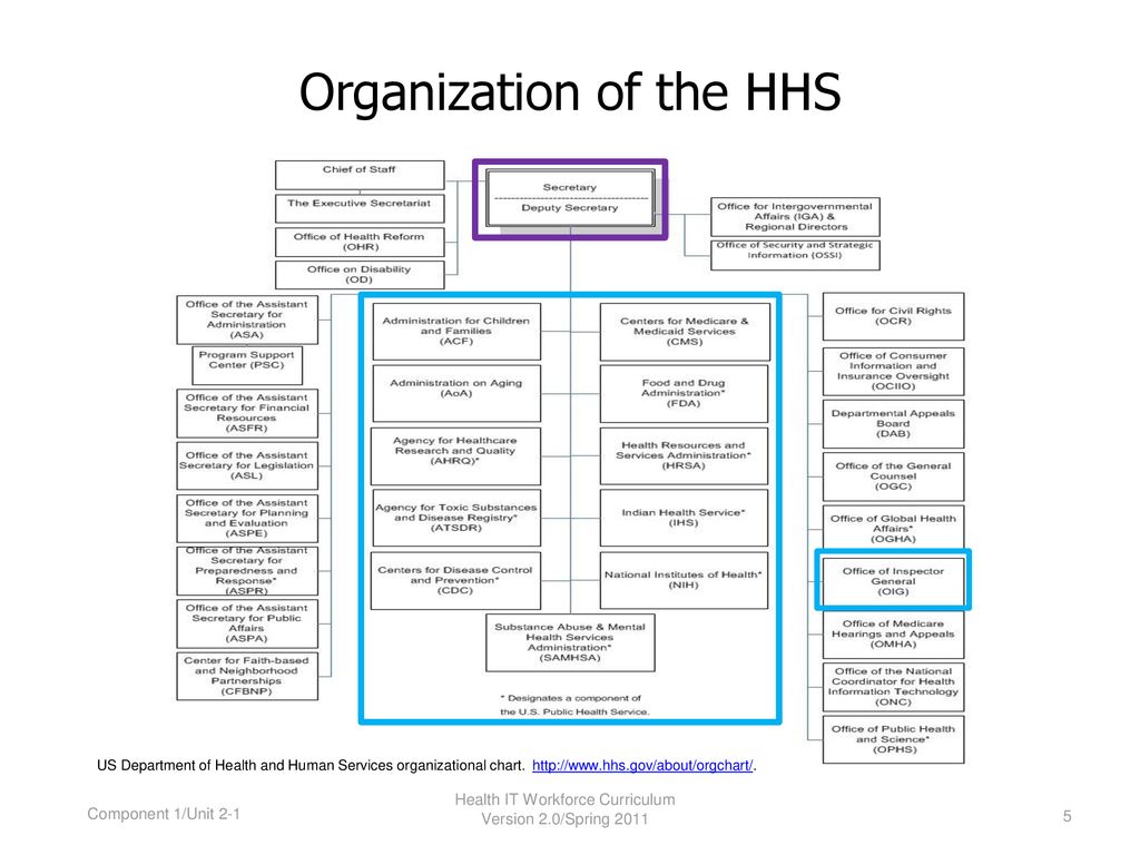 Health And Human Services Org Chart