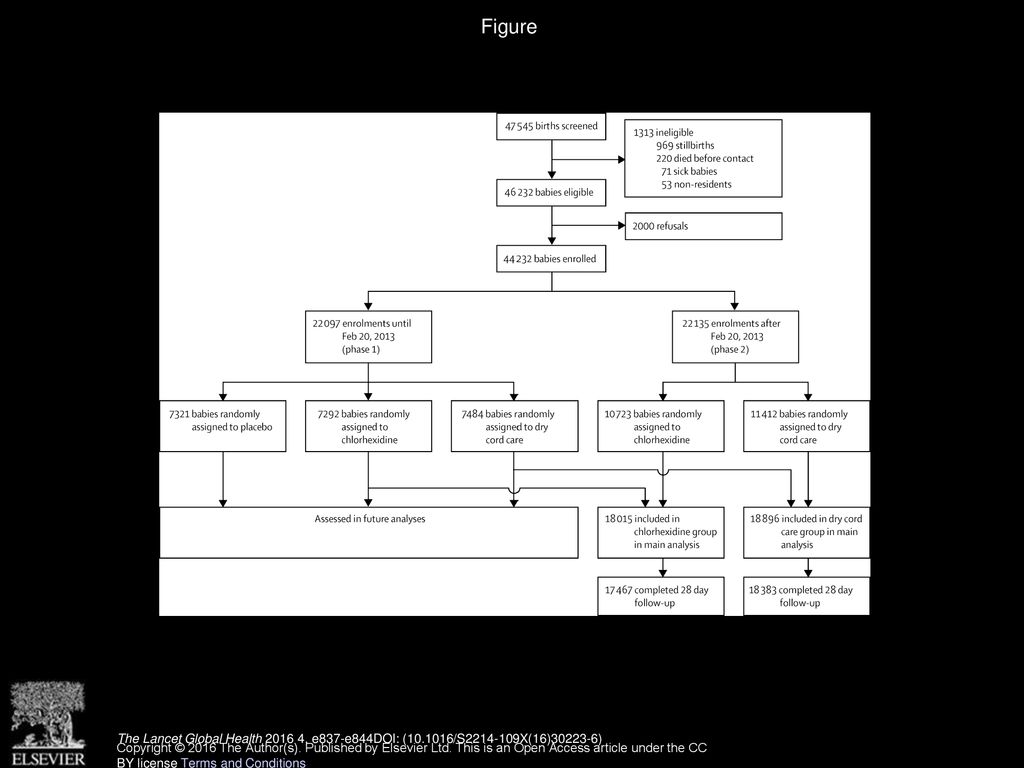 Figure Trial profile. The Lancet Global Health , e837-e844DOI: ( /S X(16) )