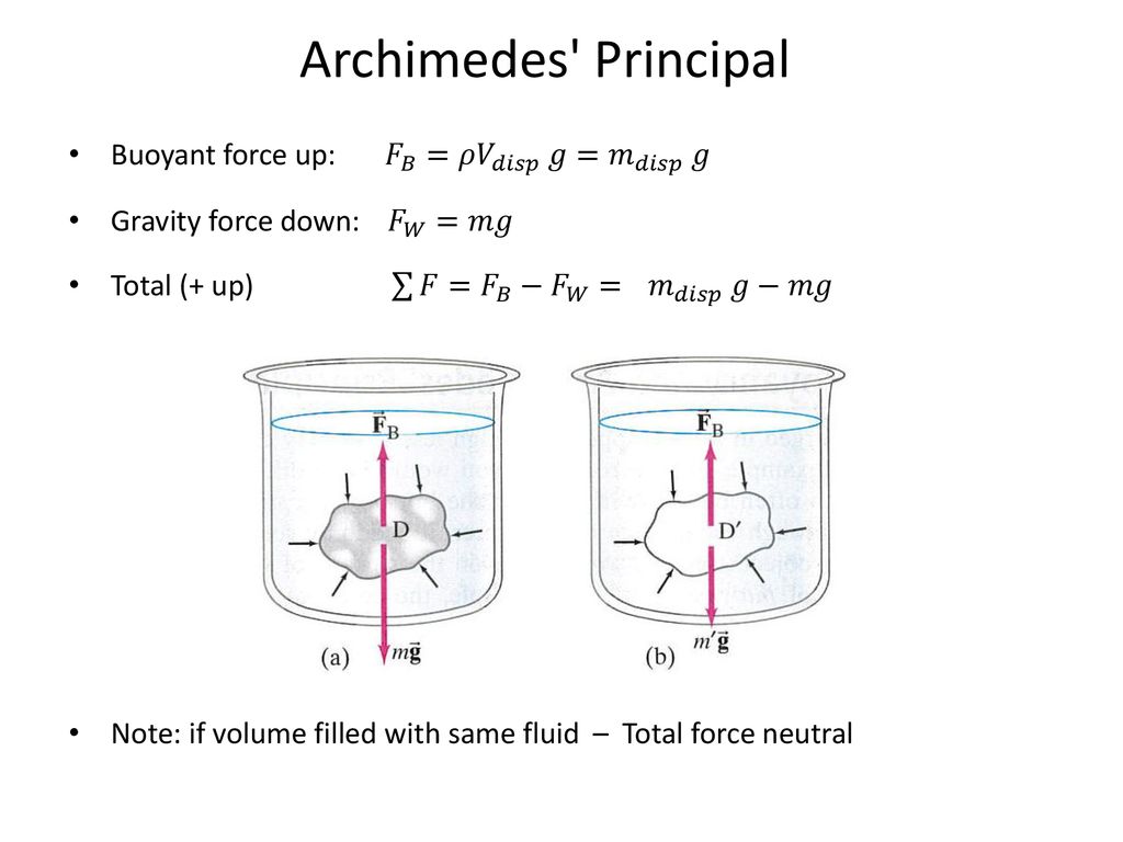 Buoyancy Buoyant Force Vs Weight Apparent Weight Ppt Download