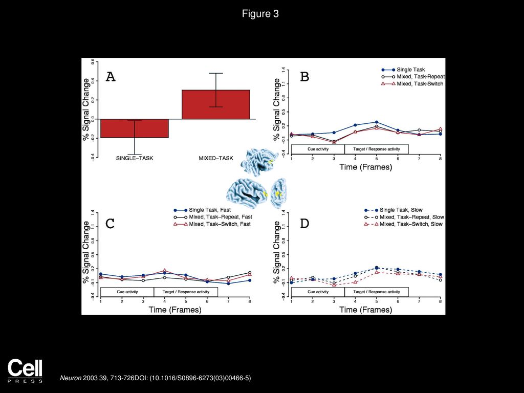 Figure 3 Right Anterior Prefrontal Cortex Activity