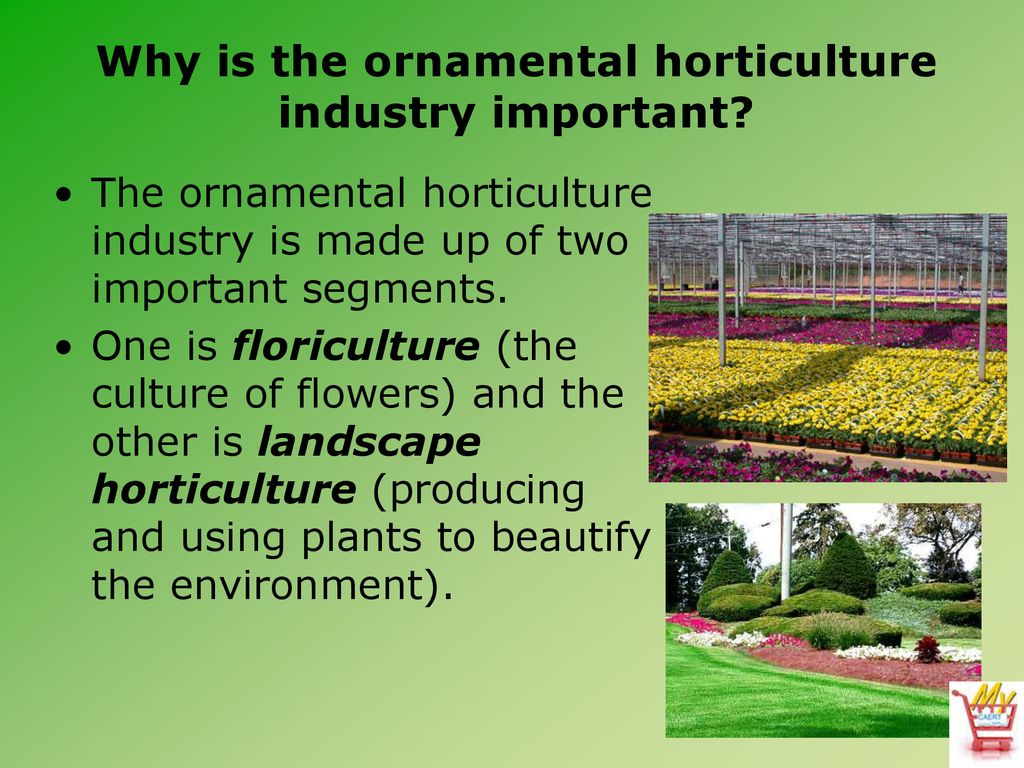 Дайте определение устойчивому декоративному садоводству