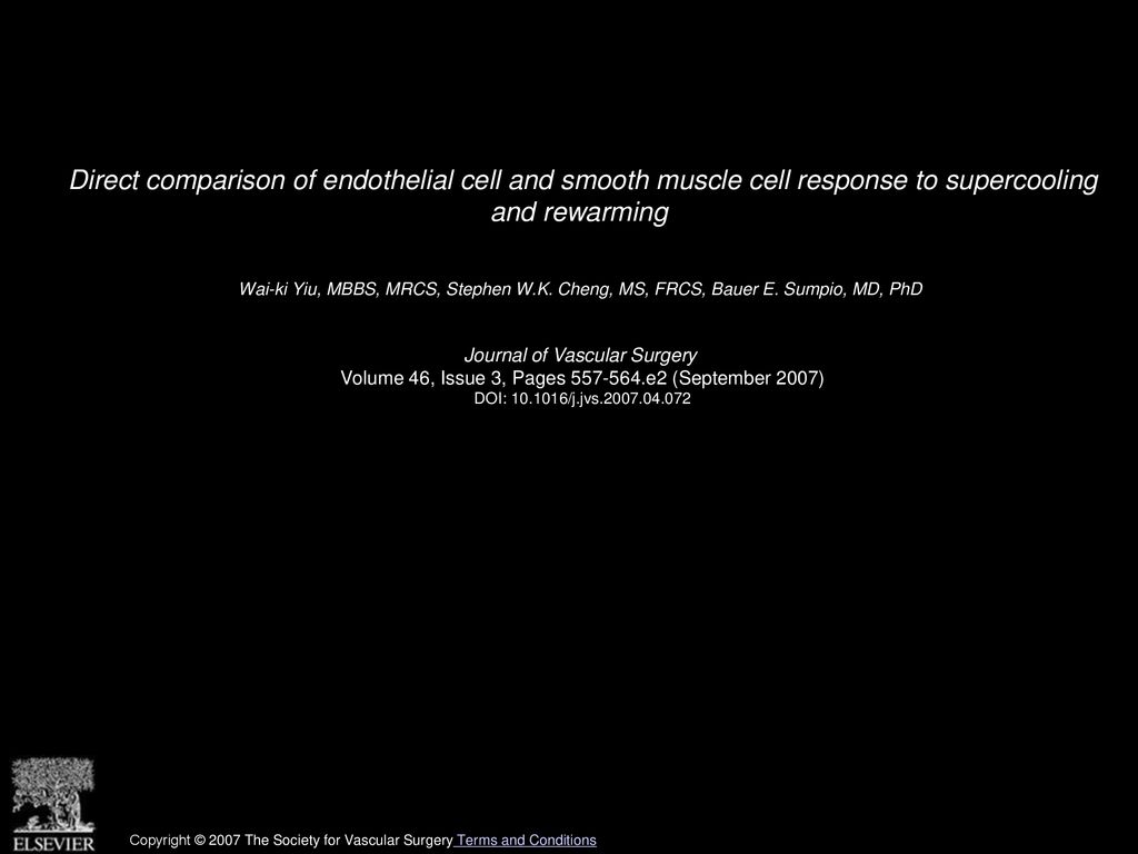 Direct comparison of endothelial cell and smooth muscle cell response to supercooling and rewarming
