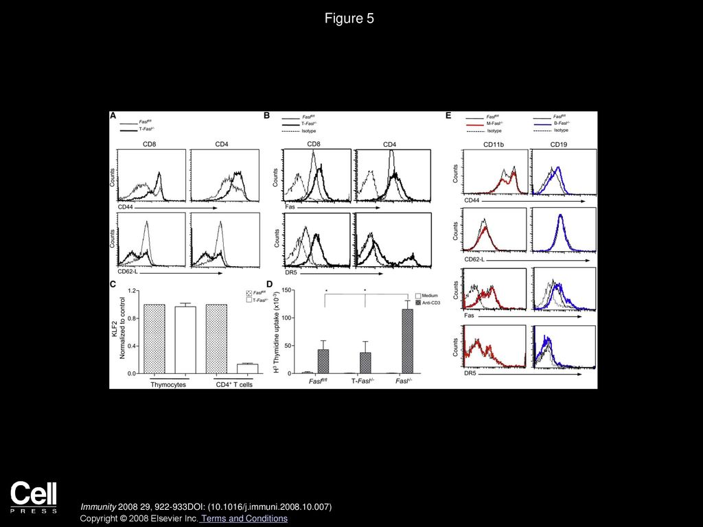 Figure 5 Activated Phenotype of FasL-Deficient T Cells