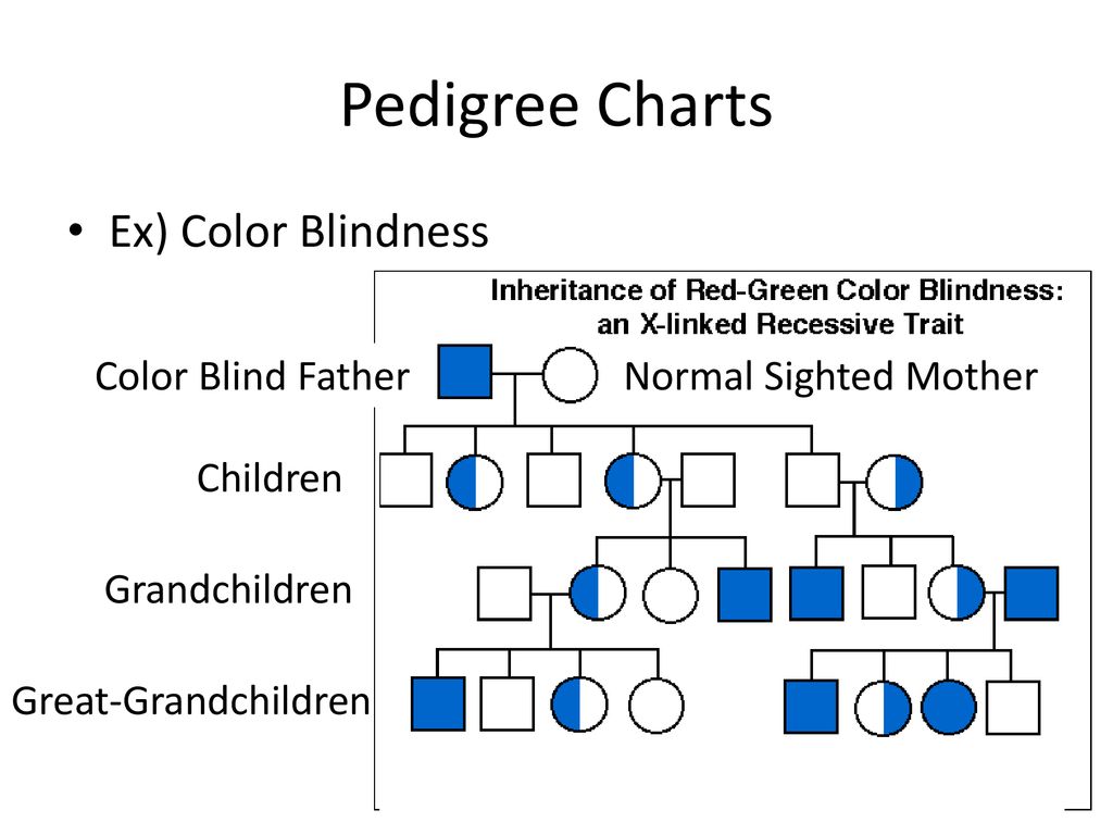 Advanced Genetics Ppt Download
