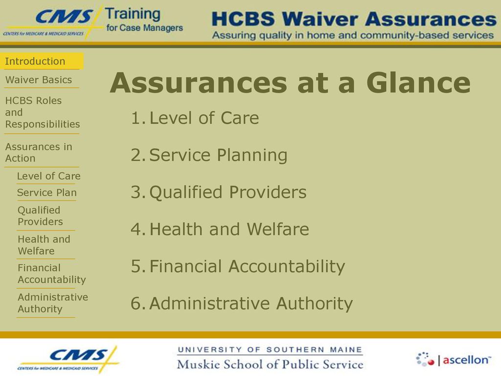 Assurances at a Glance Level of Care Service Planning