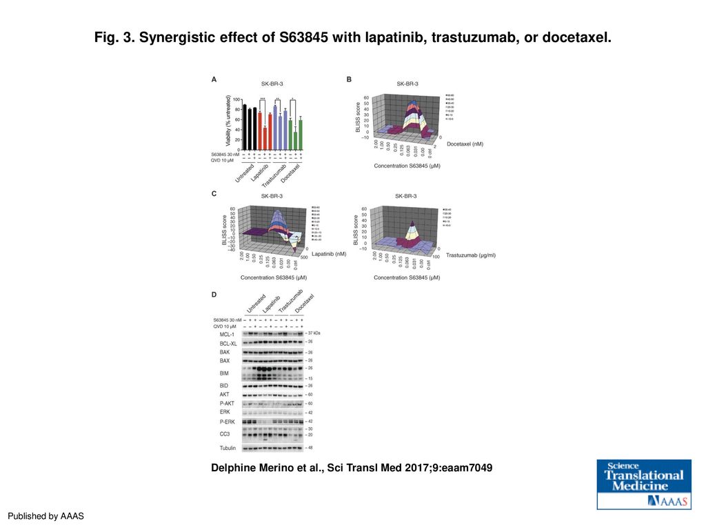 Fig. 3. Synergistic effect of S63845 with lapatinib, trastuzumab, or docetaxel.