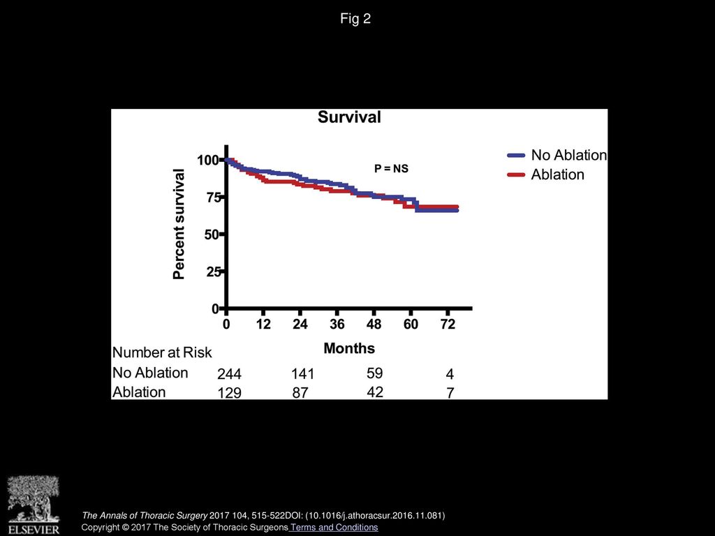 Fig 2 Kaplan-Meier survival curves for the ablation and nonablation groups. (NS = not significant.)