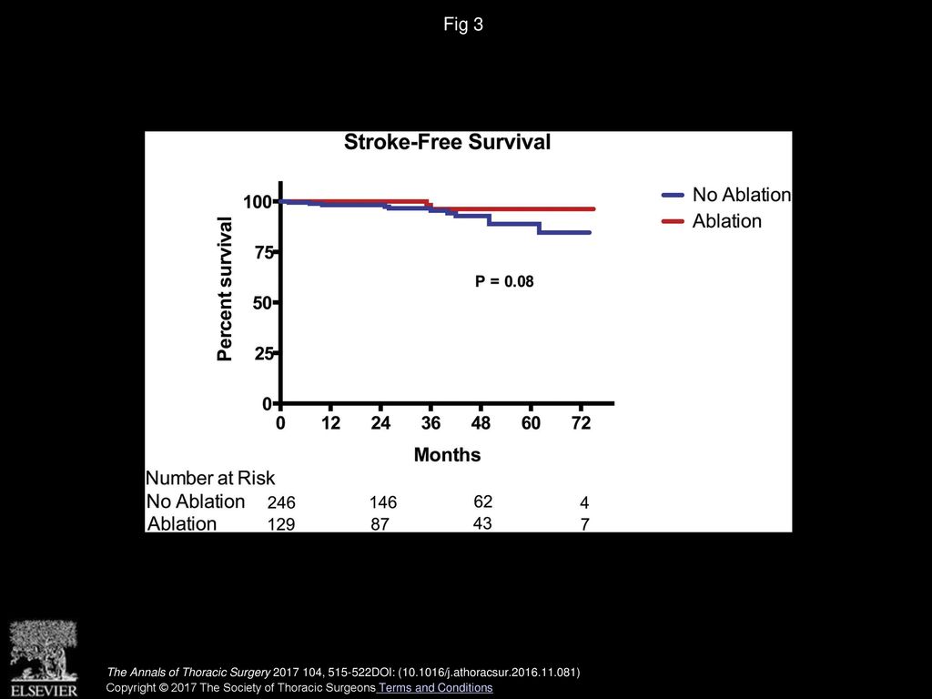 Fig 3 Kaplan-Meier curves of stroke-free survival for the ablation and nonablation groups.