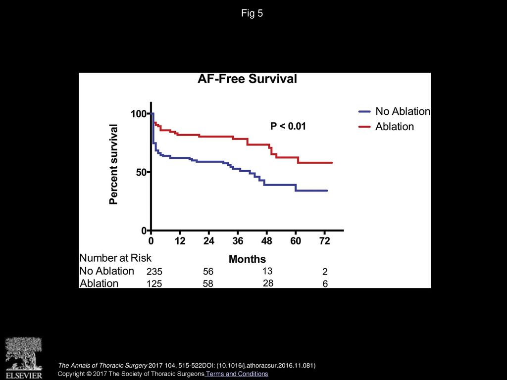 Fig 5 Kaplan-Meier curves of atrial fibrillation (AF)-free survival for the ablation and nonablation groups.
