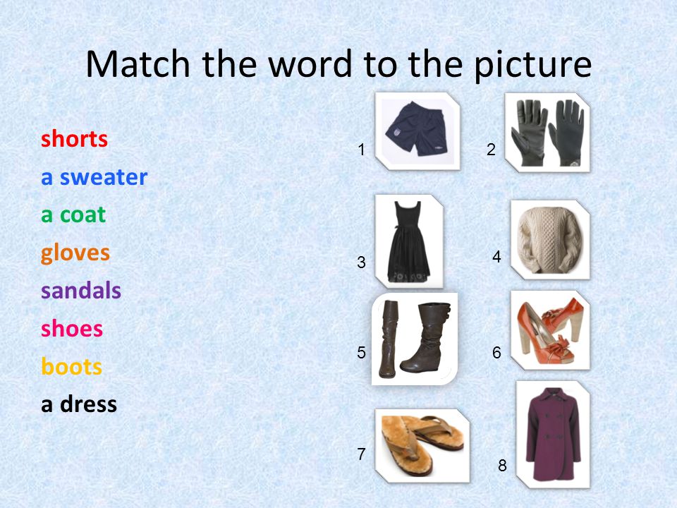 Match the word to the picture