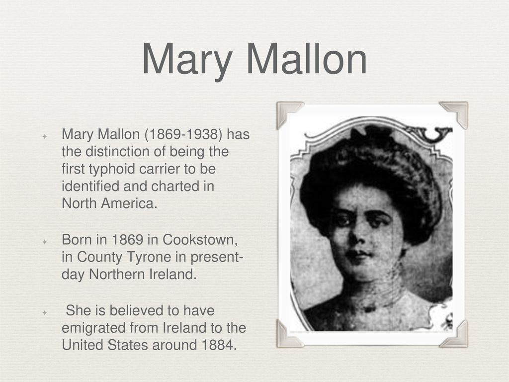 Typhoid Mary. - ppt download