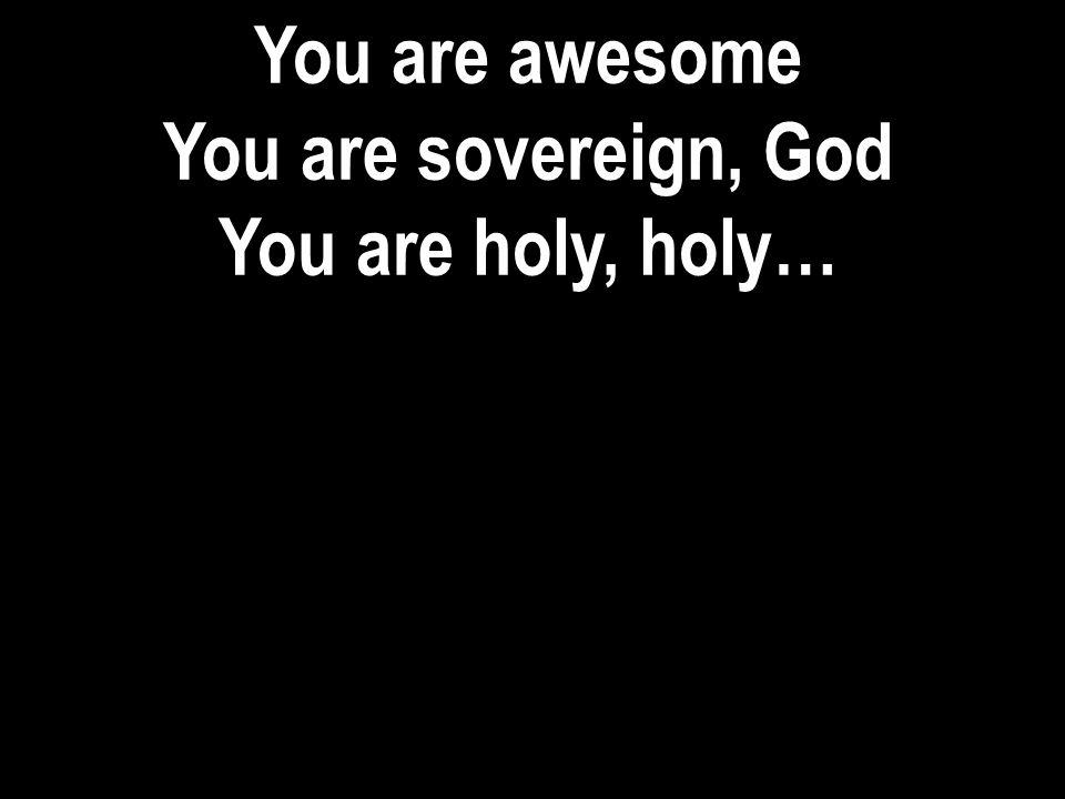 You are awesome You are sovereign, God You are holy, holy…
