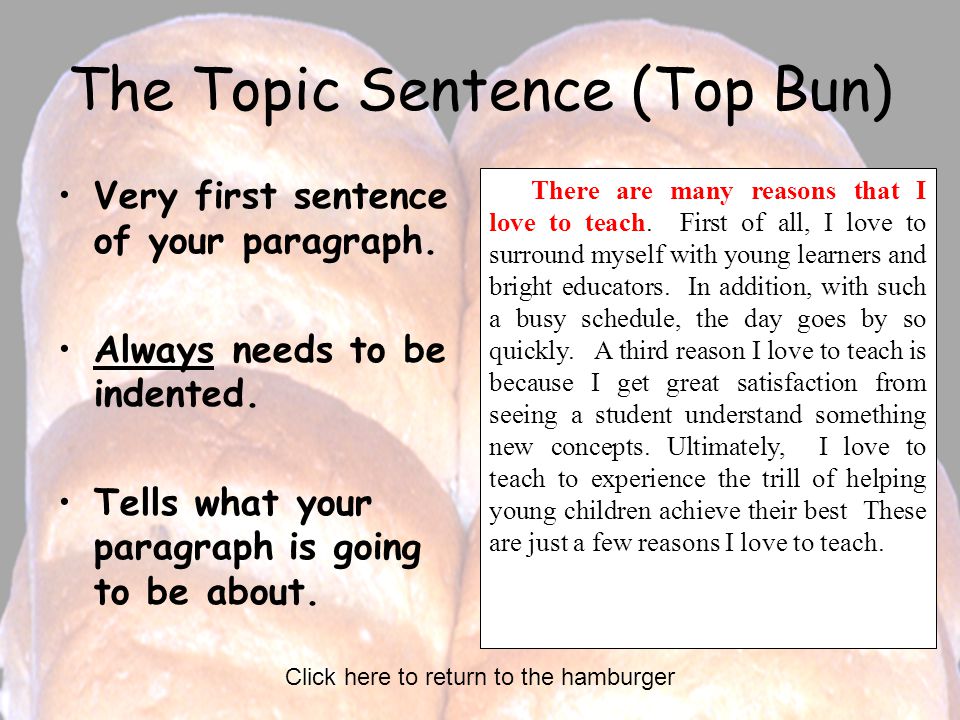 The Topic Sentence (Top Bun)