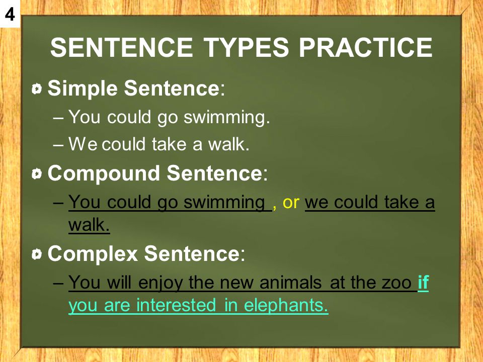Sentence Types Practice