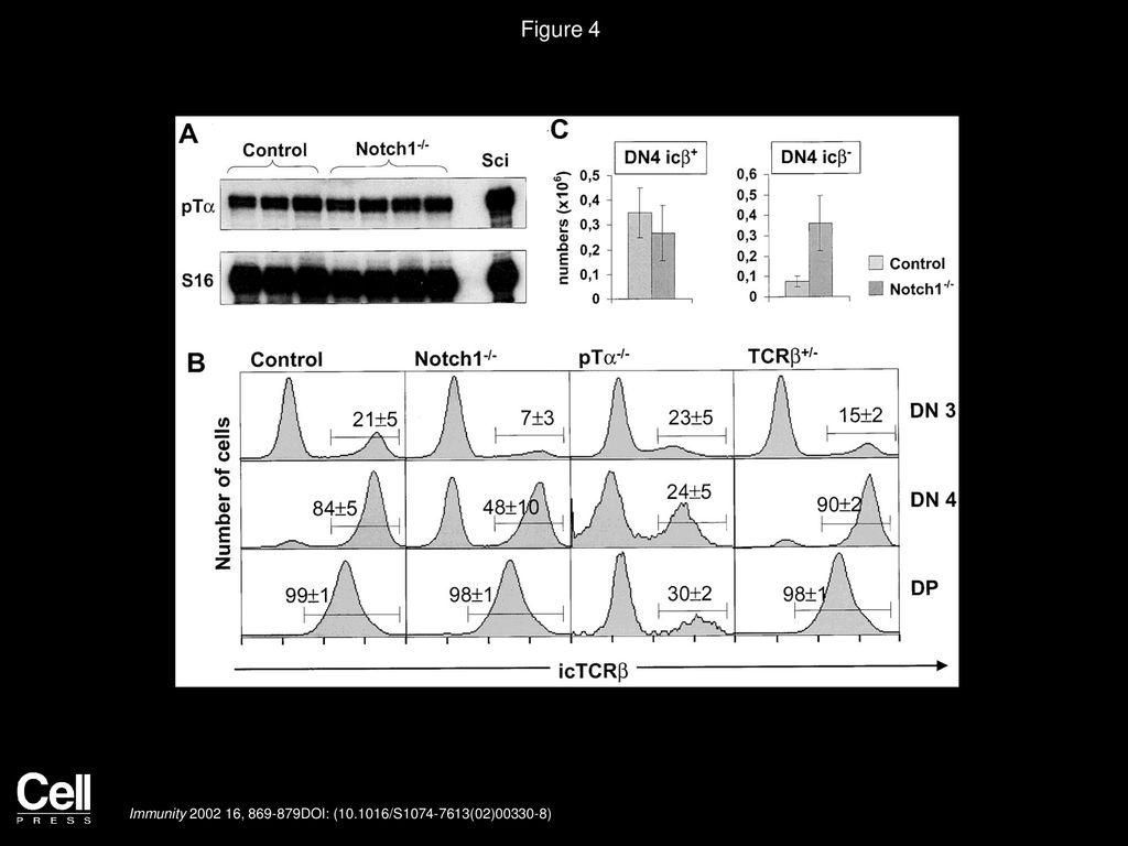 Figure 4 Normal pTα mRNA but Impaired icTCRβ Protein Expression in the Absence of Notch1.