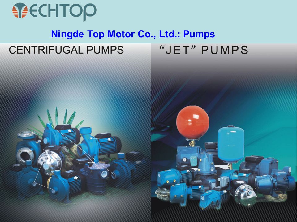 Ningde Top Motor Co., Ltd.: Pumps